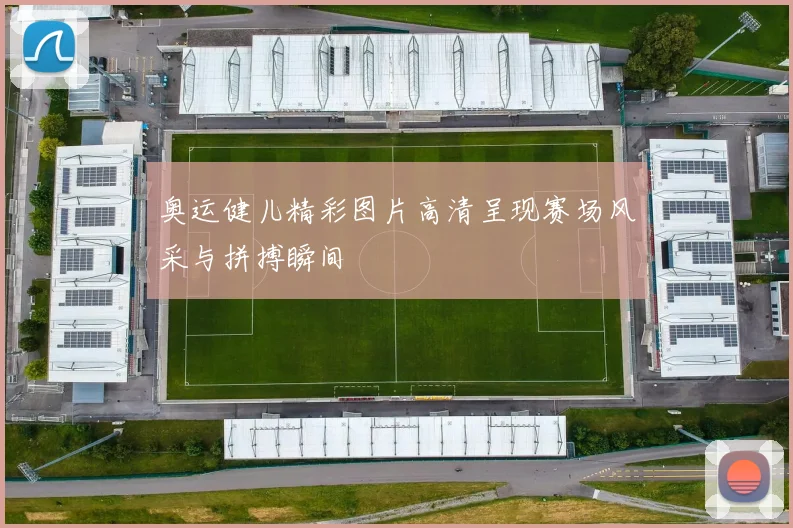 奥运健儿精彩图片高清呈现赛场风采与拼搏瞬间