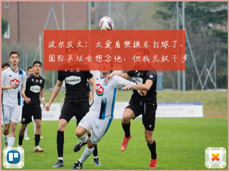 波尔发文：太爱看樊振东打球了，国际乒坛会想念他，但我无权干涉